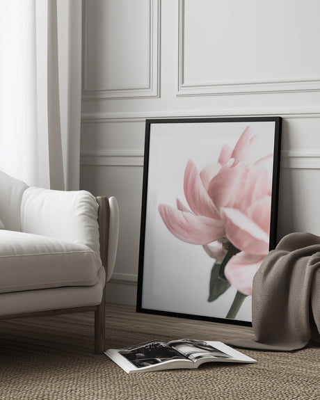 Peony 2 Poster och Canvastavla