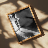 Shadow Dance Poster och Canvastavla