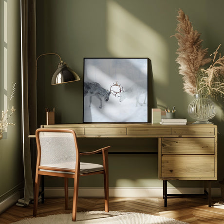 Reindeer in Arctic Winter Poster och Canvastavla