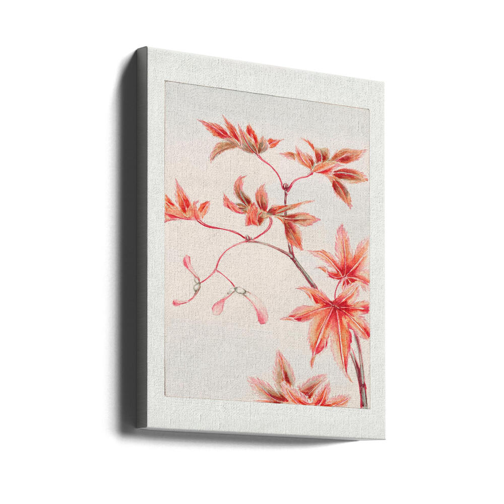 Branch of Momiji Maple Tree With Leaves and Seeds During 1870–1880 Poster och Canvastavla