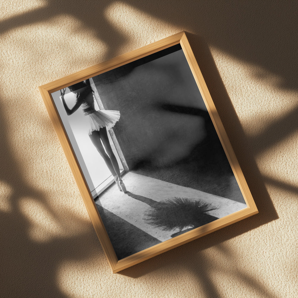 Shadow Dance Poster och Canvastavla