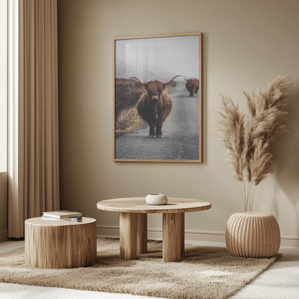 Cow Poster och Canvastavla
