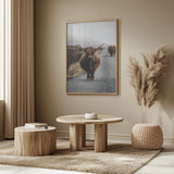 Cow Poster och Canvastavla