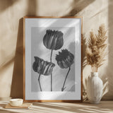 Abutilon (Lime Mallow Poster och Canvastavla