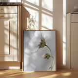 Heavenly Cosmos Poster och Canvastavla