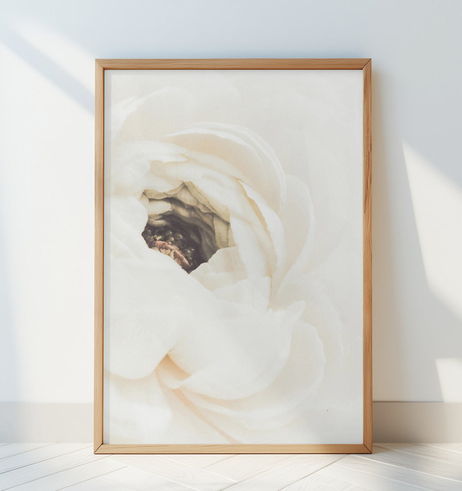 White Flower 01 Poster och Canvastavla