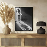 Shadow Dance Poster och Canvastavla