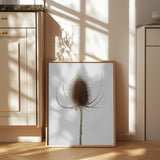 Dried_004 Poster och Canvastavla