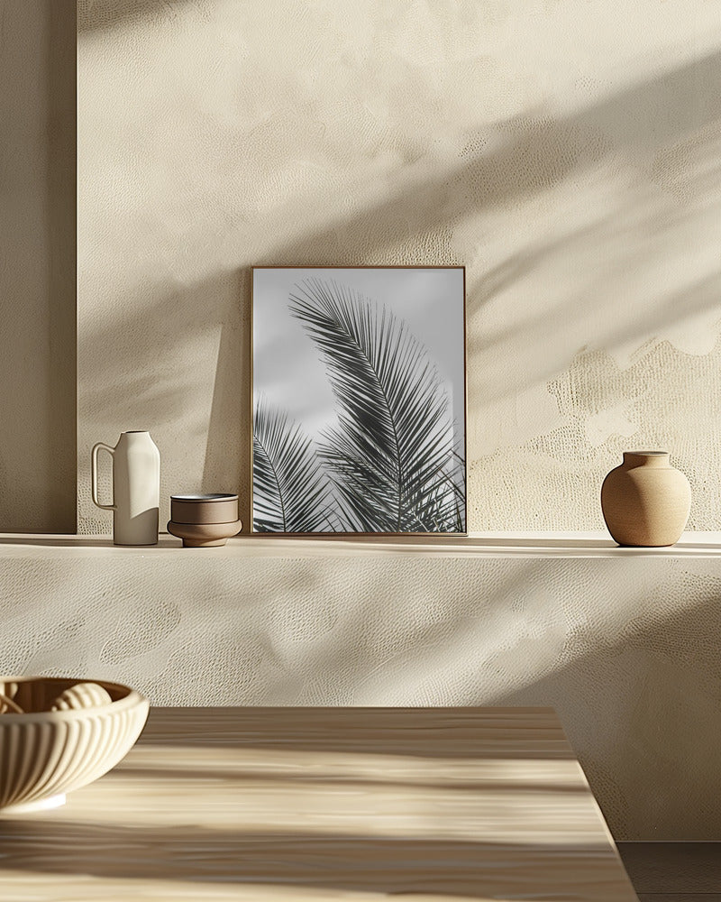 Palm Leaves 1 Poster och Canvastavla