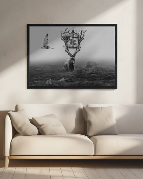 Antelope Poster och Canvastavla
