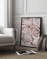 Pink Roses No 01 Poster och Canvastavla