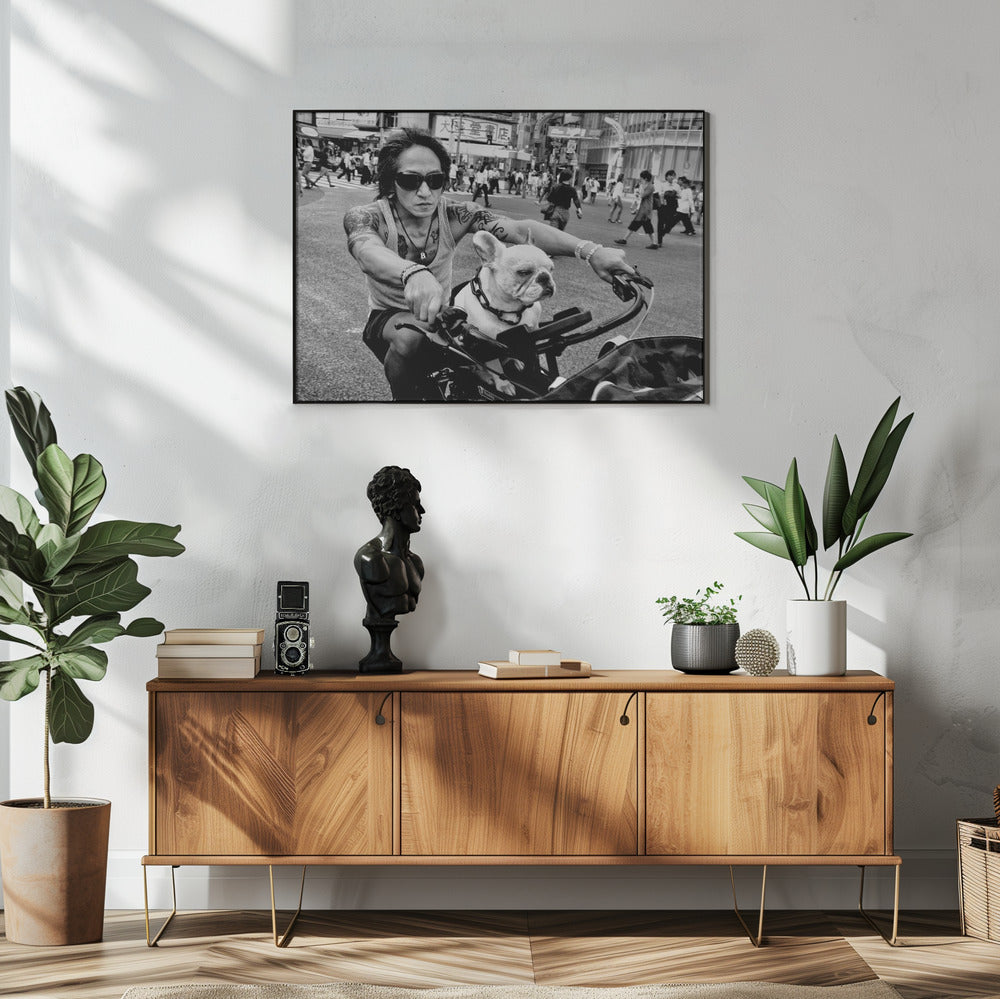 Poster och Canvastavla
