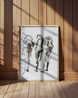 Four Figures (nach Muybridge) Enhanced Sr Poster och Canvastavla