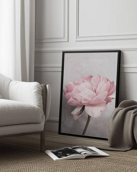 Peony Poster och Canvastavla