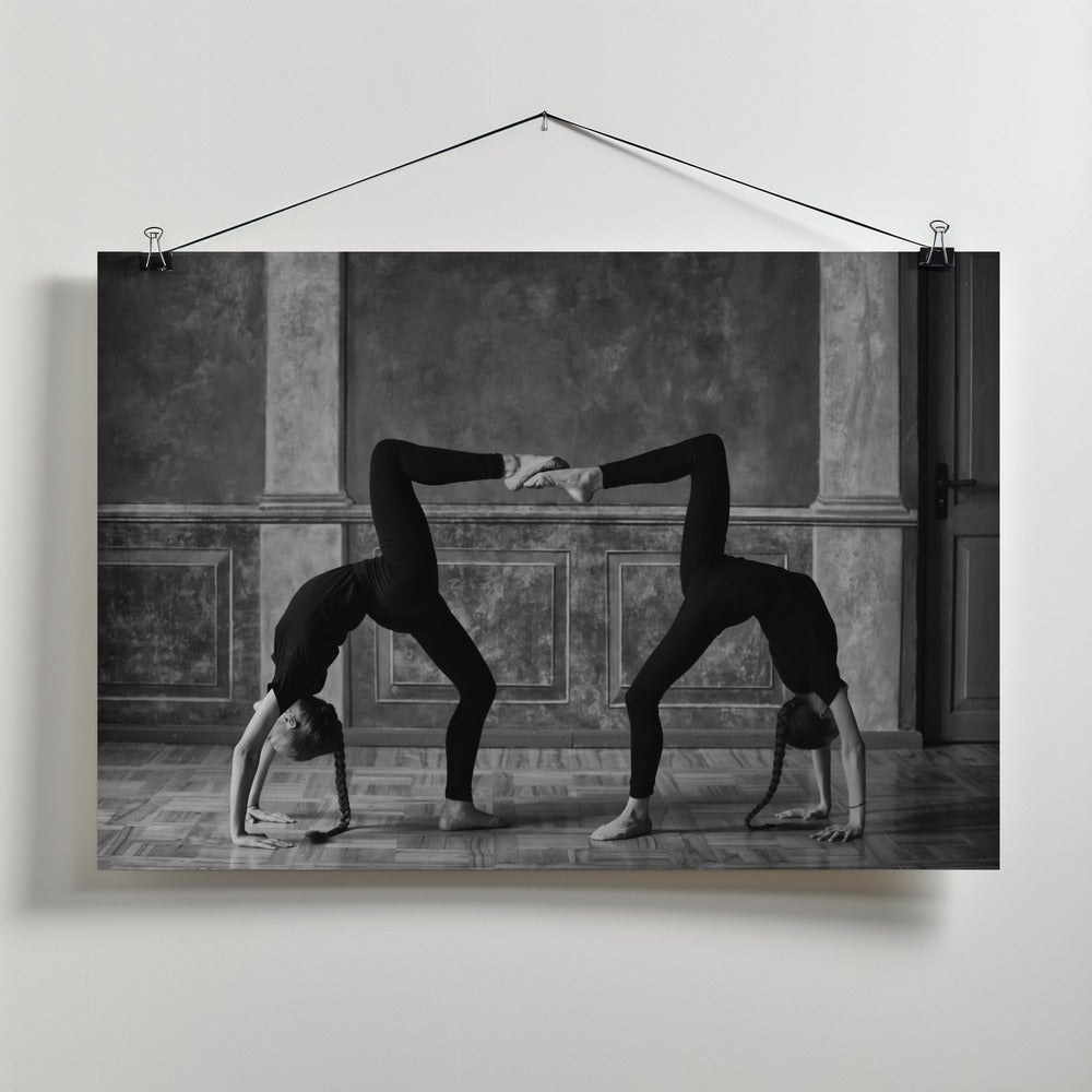 Twins Poster och Canvastavla