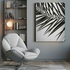 Phoenix Frond Poster och Canvastavla