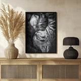 Yin and Yang Poster och Canvastavla