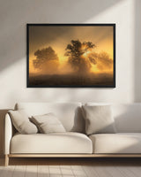 Light Poster och Canvastavla