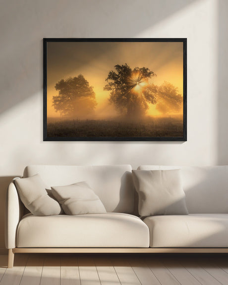 Light Poster och Canvastavla