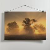 Light Poster och Canvastavla