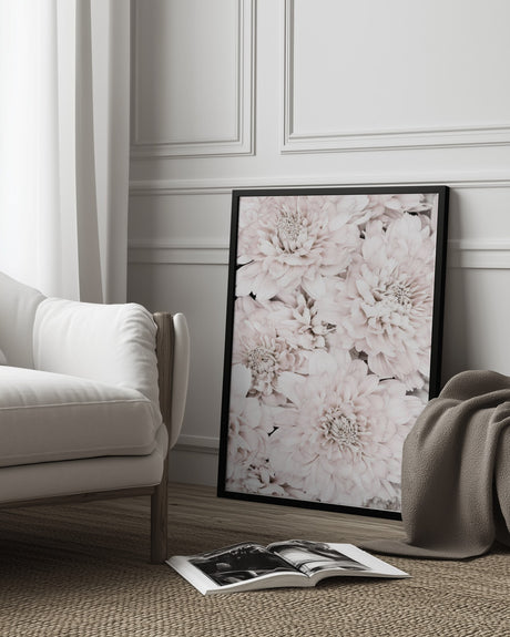 Chrysanthemum No 07 Poster och Canvastavla