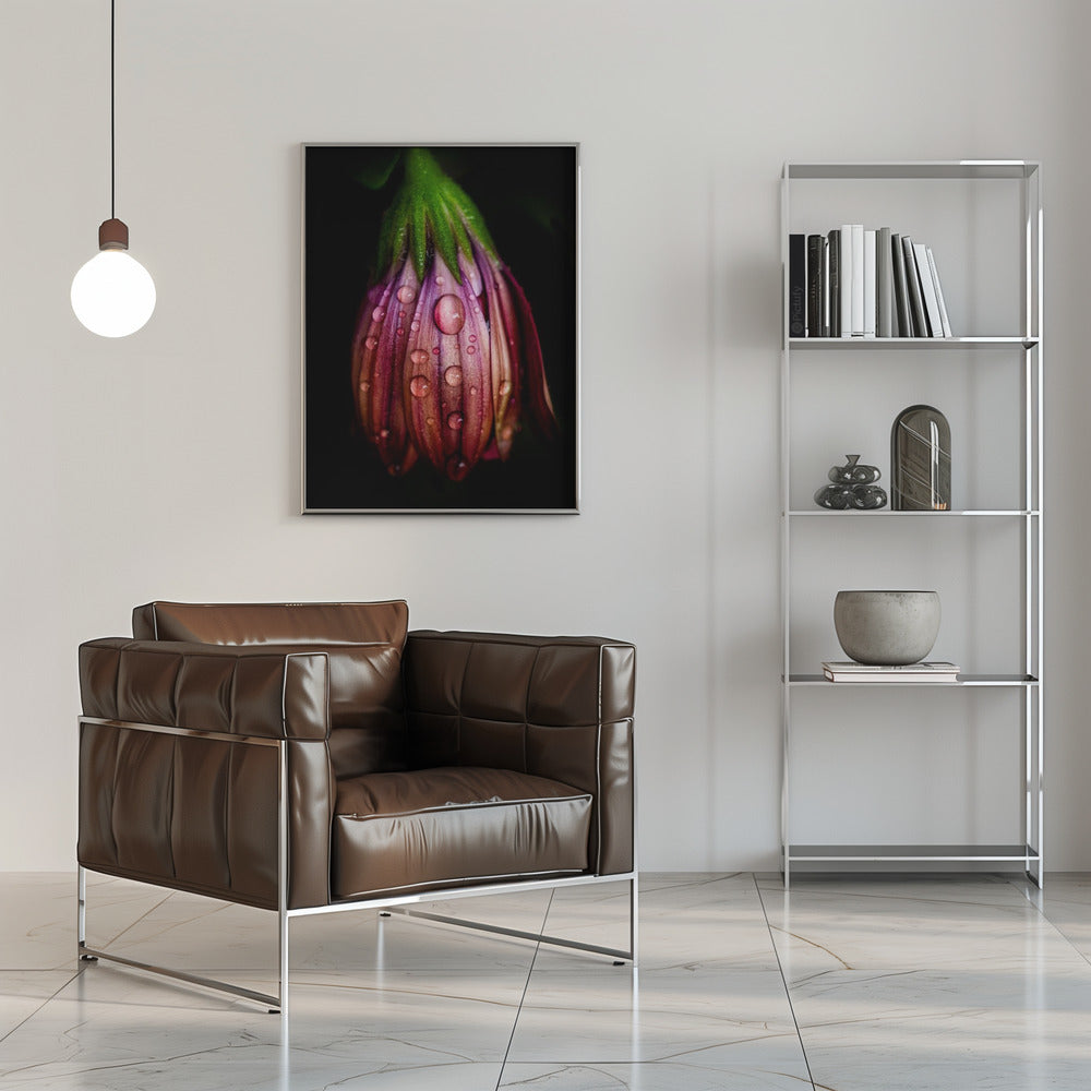 After the rain Poster och Canvastavla