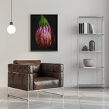 After the rain Poster och Canvastavla