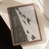 Botanical shadow on the wall Poster och Canvastavla