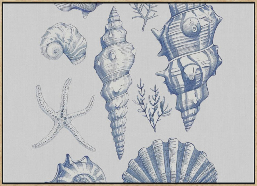 11x14 Shell Collage Poster och Canvastavla