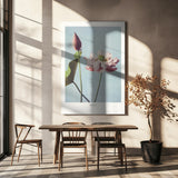 Lotus Flowers Poster och Canvastavla