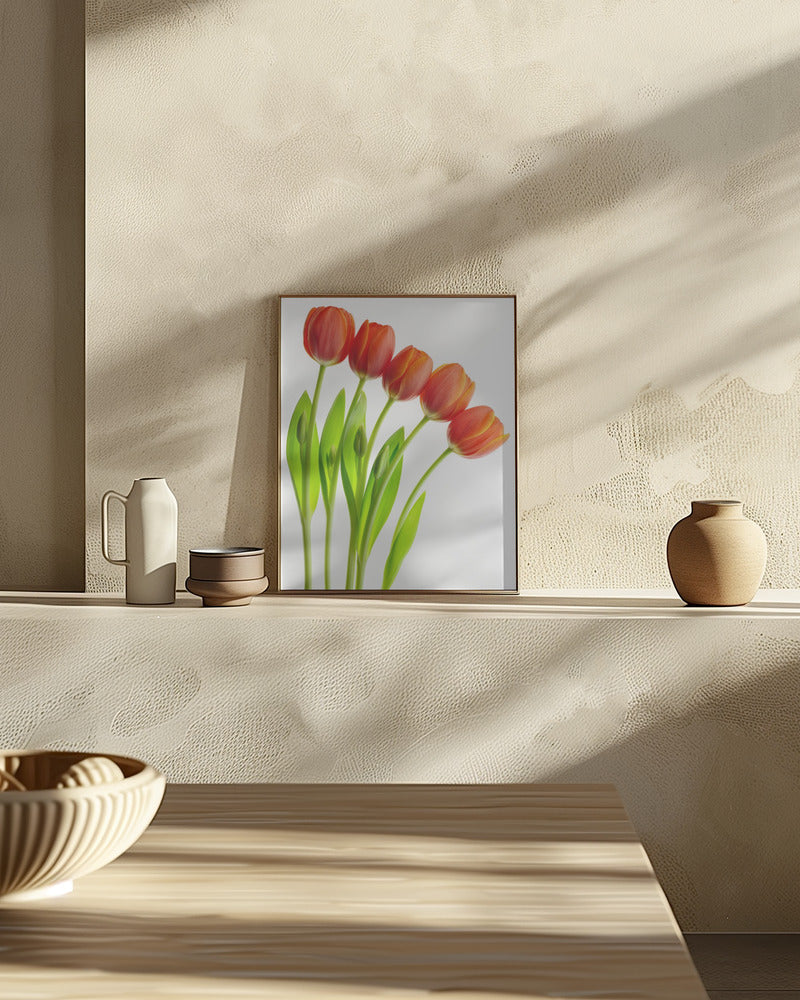 five tulips Poster och Canvastavla