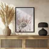 Chrysanthemum No 06 Poster och Canvastavla