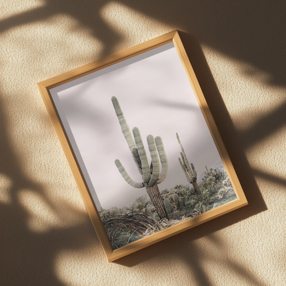 Pink Saguaro Poster och Canvastavla