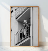 Nika Poster och Canvastavla