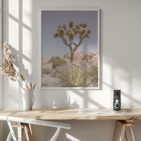 Mojave Desert Poster och Canvastavla