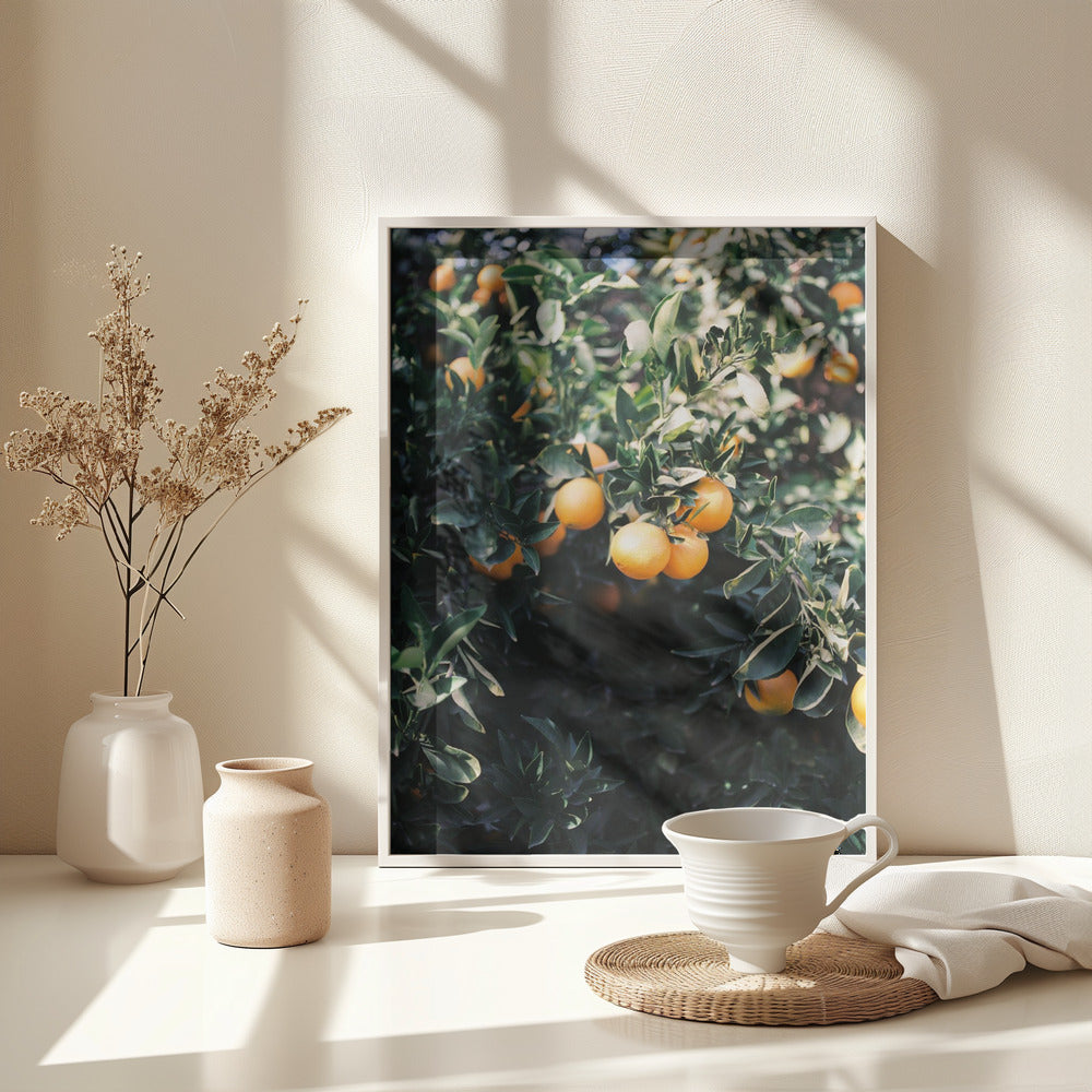 Marrakesh Oranges Poster och Canvastavla