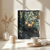 Marrakesh Oranges Poster och Canvastavla