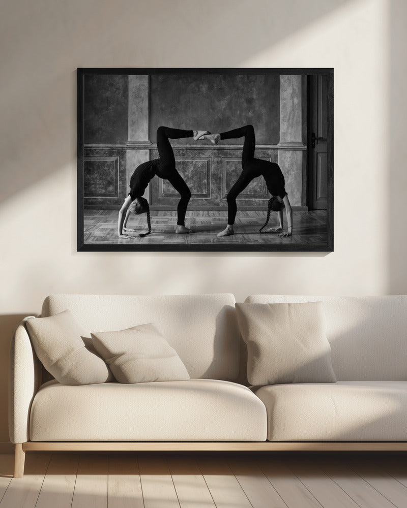 Twins Poster och Canvastavla