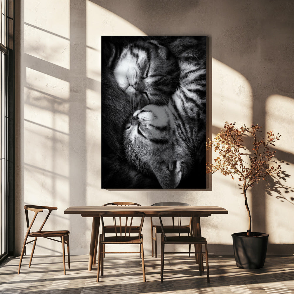 Yin and Yang Poster och Canvastavla