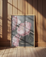 01643 Poster och Canvastavla