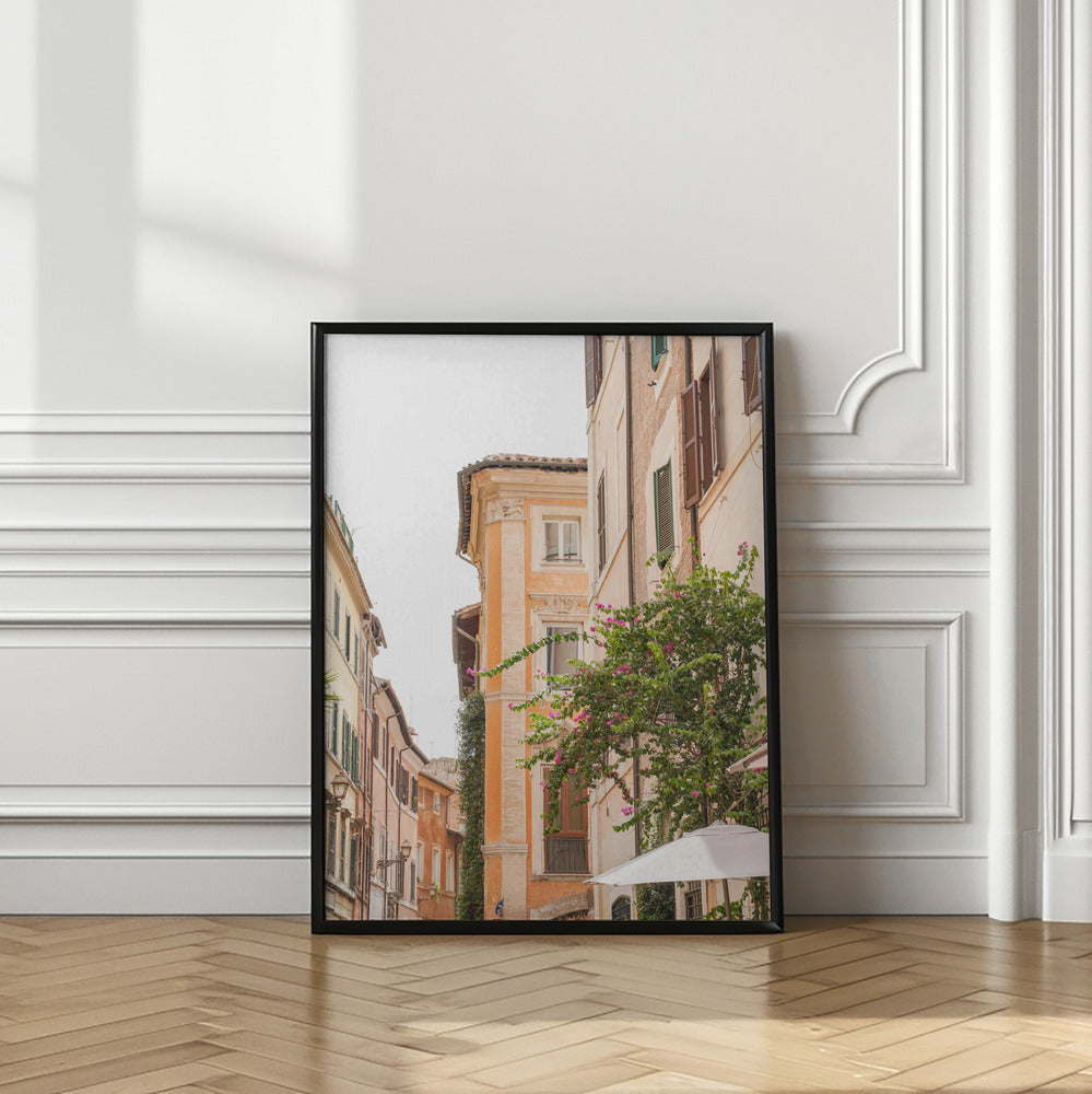 Streets of Rome Poster och Canvastavla