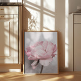 Peony Poster och Canvastavla