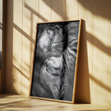 Yin and Yang Poster och Canvastavla