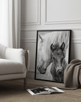 The Foal Poster och Canvastavla