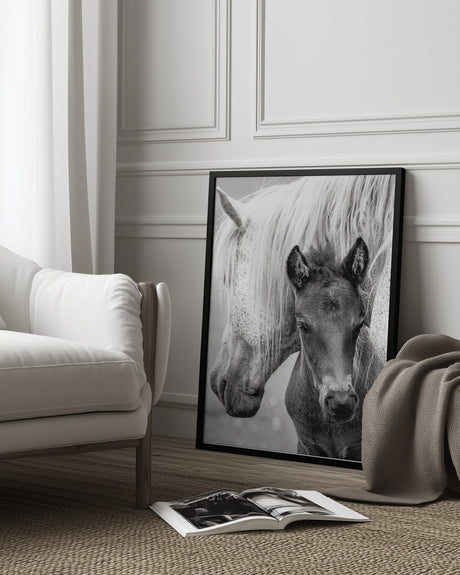 The Foal Poster och Canvastavla