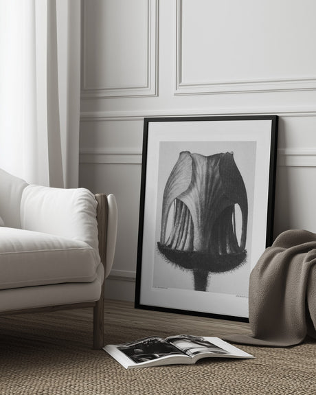 Geum Rivale Poster och Canvastavla