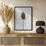 Dried_004 Poster och Canvastavla