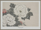 Flowers From Momoyogusa Poster och Canvastavla
