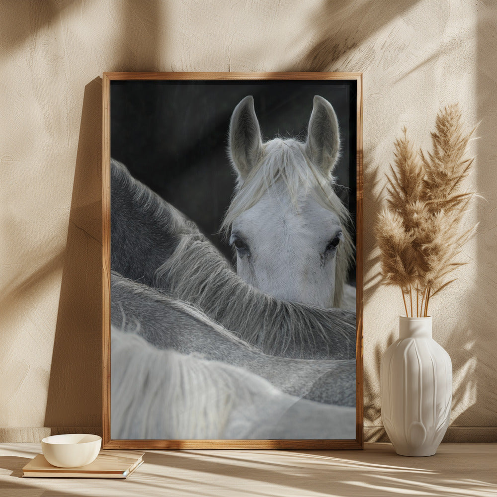 Look Poster och Canvastavla