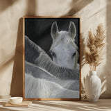 Look Poster och Canvastavla